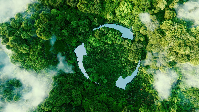 Photo forêt, logo recyglage_be-Di
